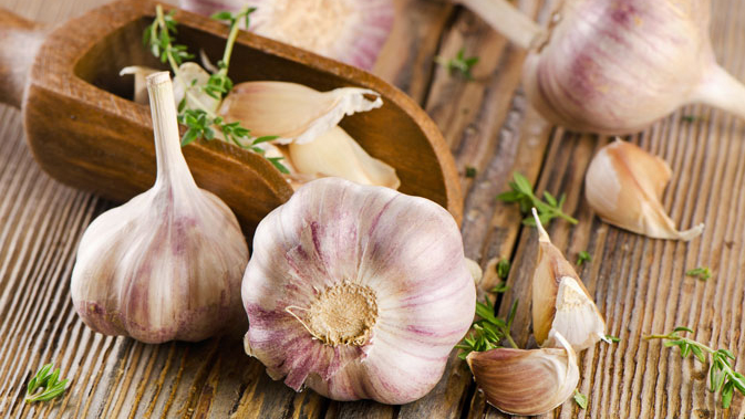 Ajo